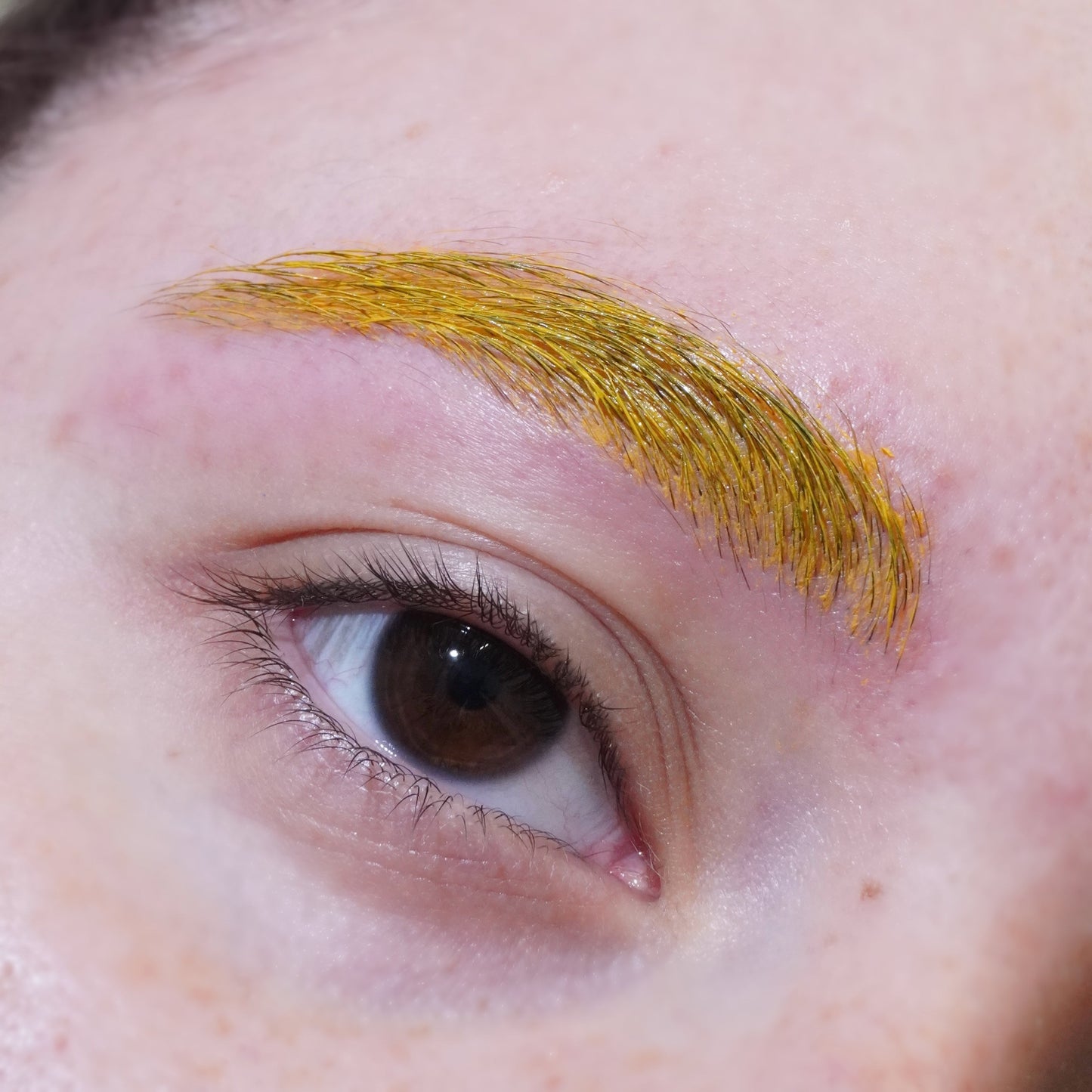 Butterscotch (Yellow) Spectra Brow - Brow Cream - Glisten Cosmetics