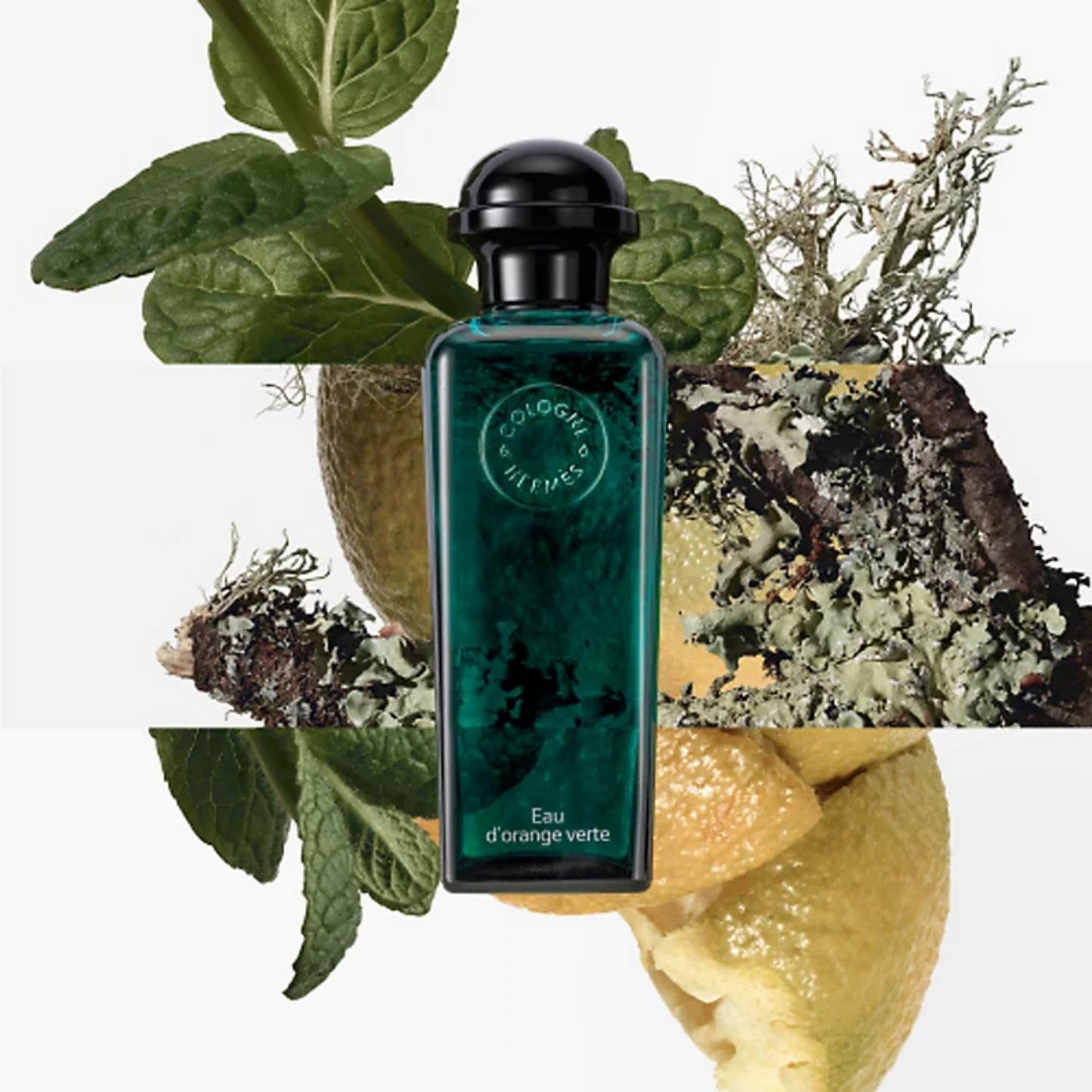 Hermes Concentre d’Orange Verte Eau de Toilette