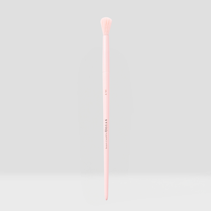 Vegan Brush Eye Bundle