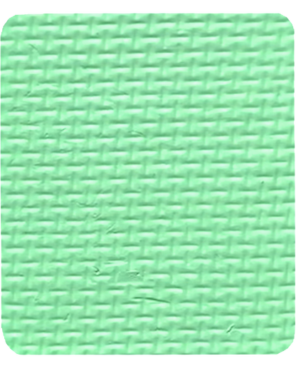 Gavissi Beauty - "COOL MINT" SINGLE LINER PAN (UV)