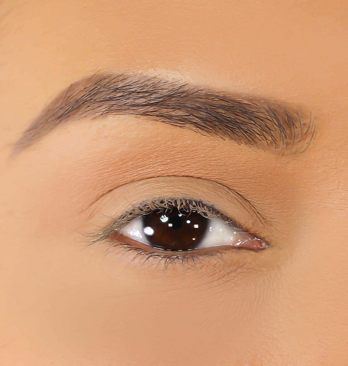 Lurella Cosmetics - 3D Mink Eyelashes - Parrish