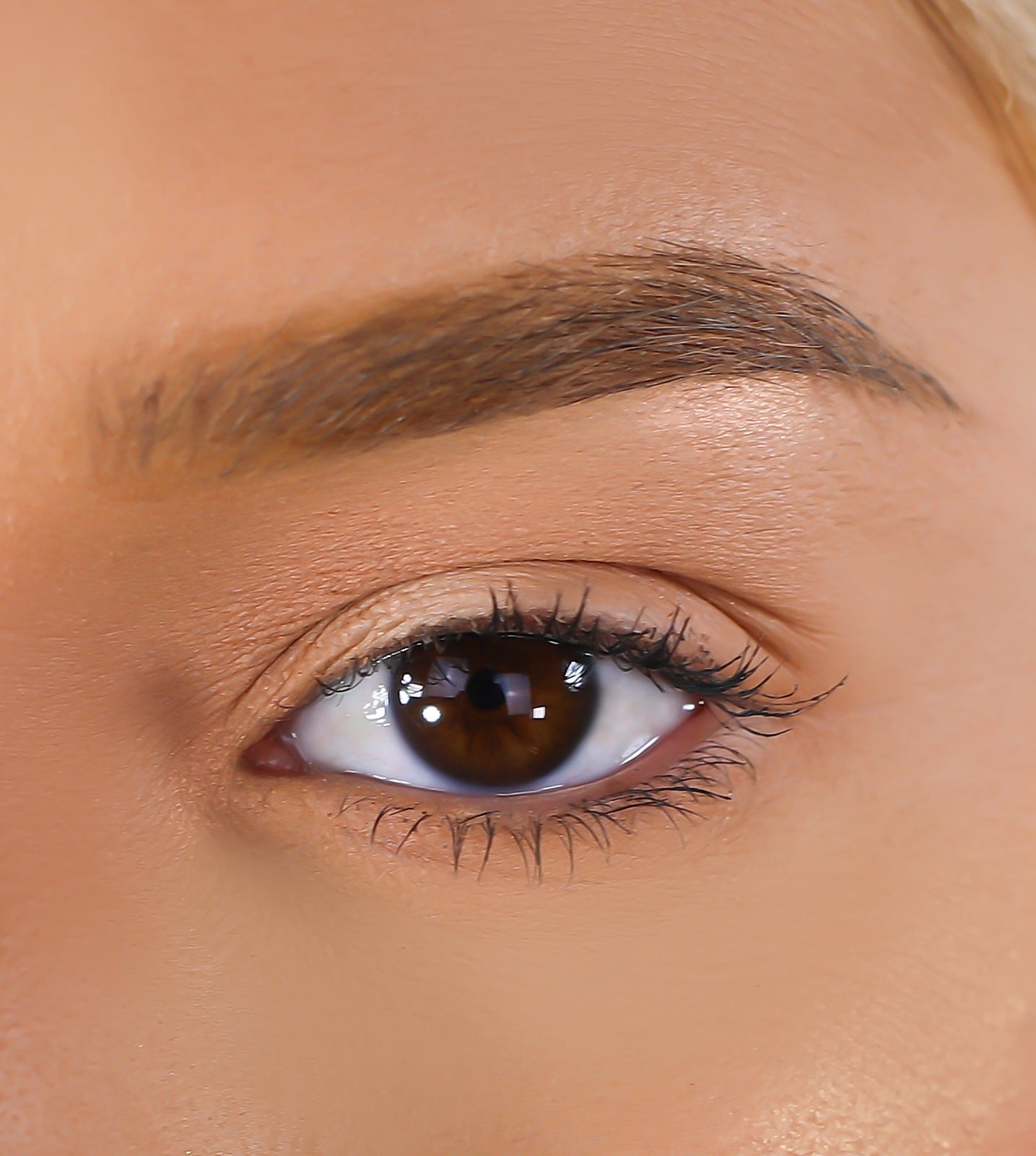 Lurella Cosmetics - 3D Mink Eyelashes - Confident