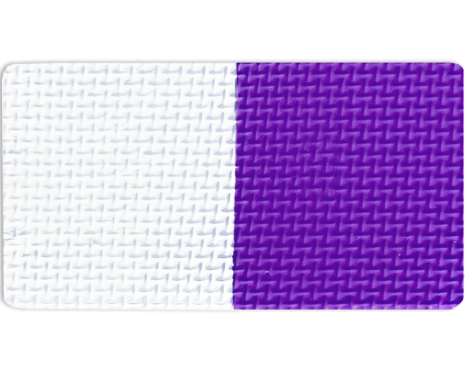 Gavissi Beauty - "FRENCH VIOLET"- DOUBLE SPLIT LINER PAN (MATTE)