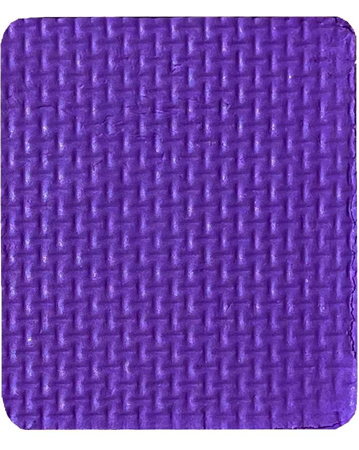 Gavissi Beauty - "GRAPE ESCAPE" SINGLE LINER PAN (MATTE)