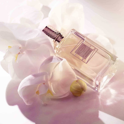 Ex Nihilo My Sweetest Morphine Eau De Parfum