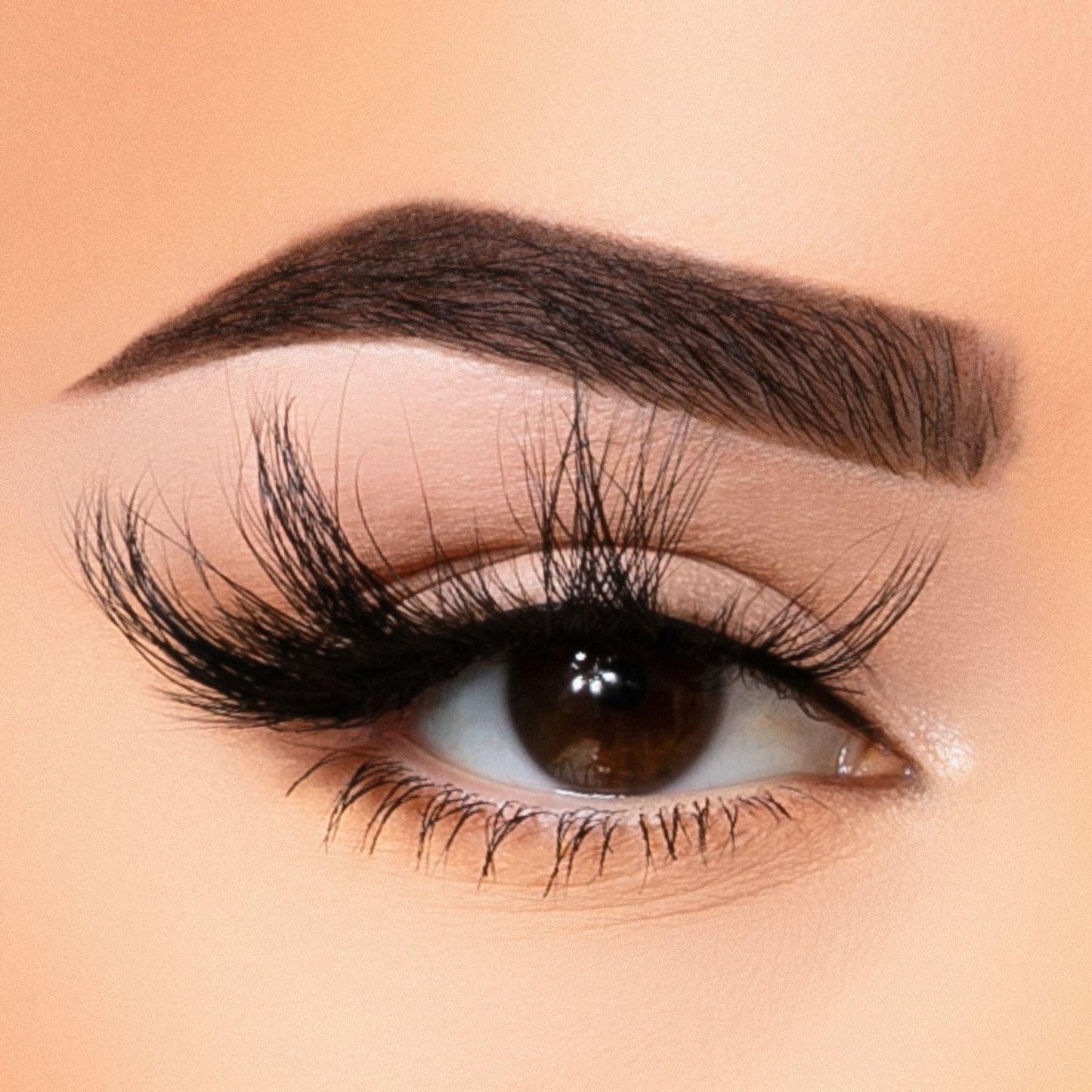 35MM Faux Mink - Lash Collection