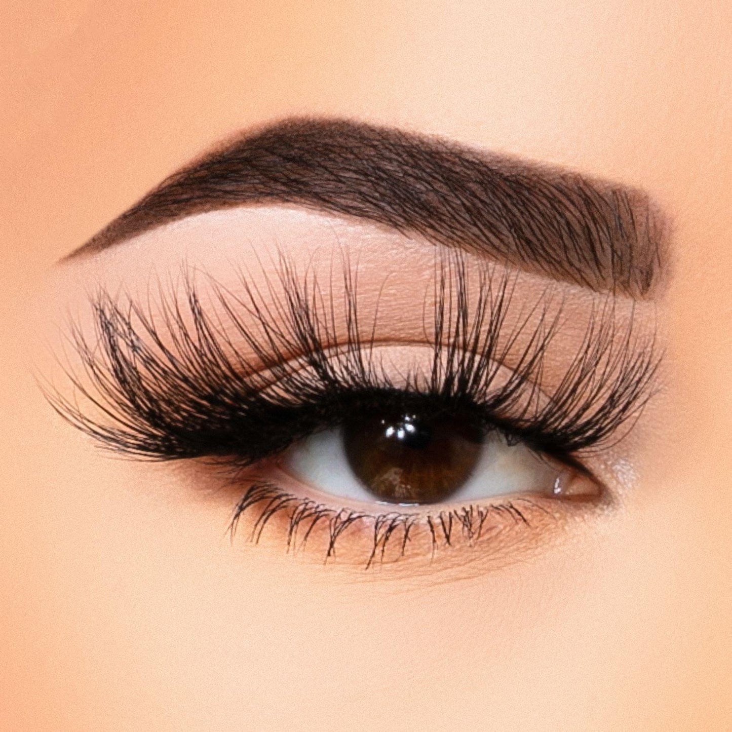 35MM Faux Mink - Lash Collection