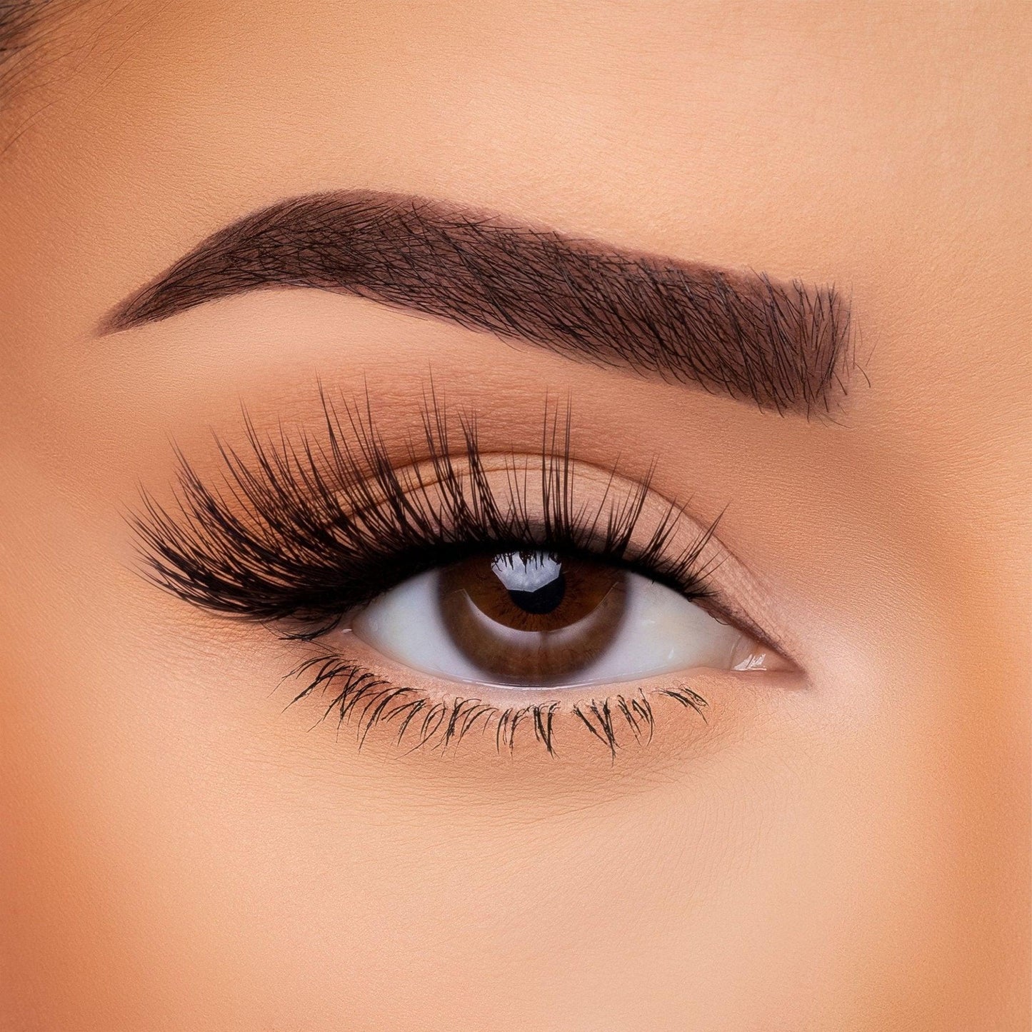 3D Silk Lash
