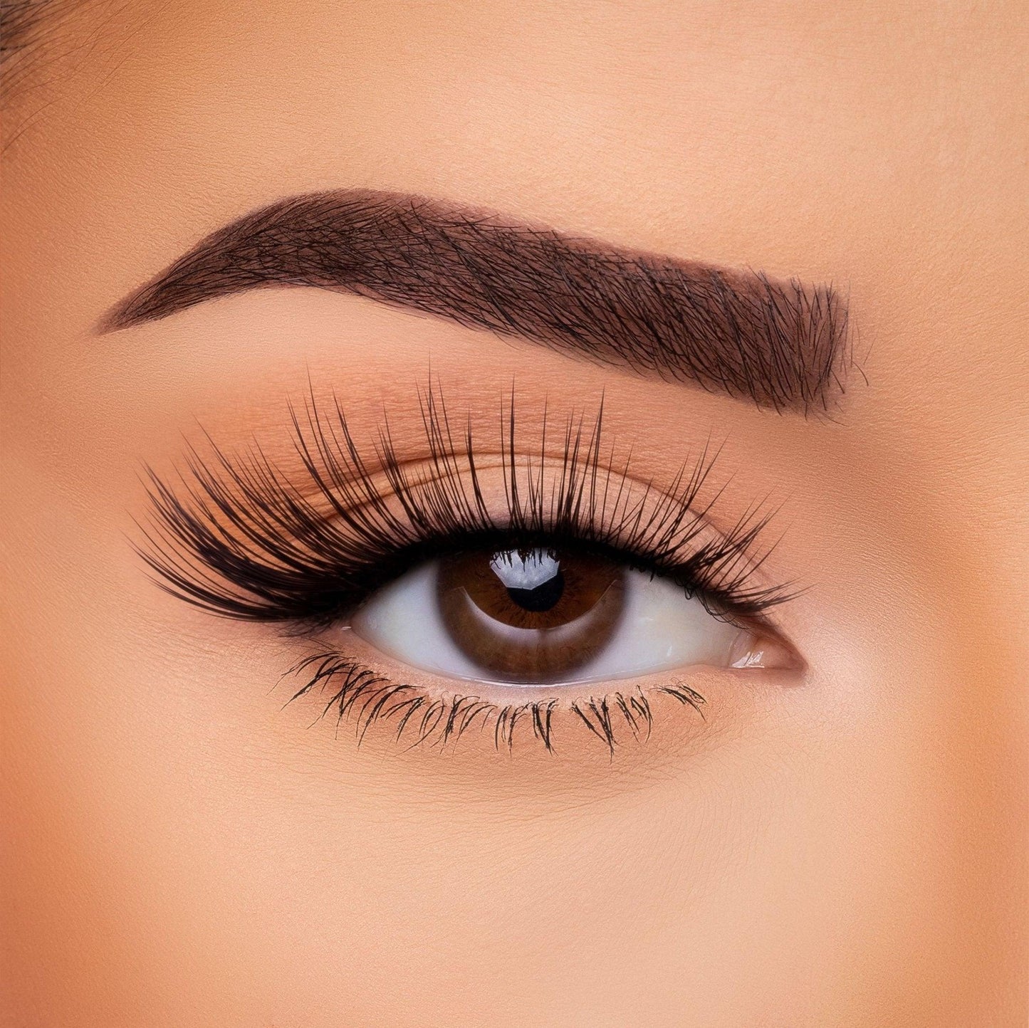 3D Silk Lash