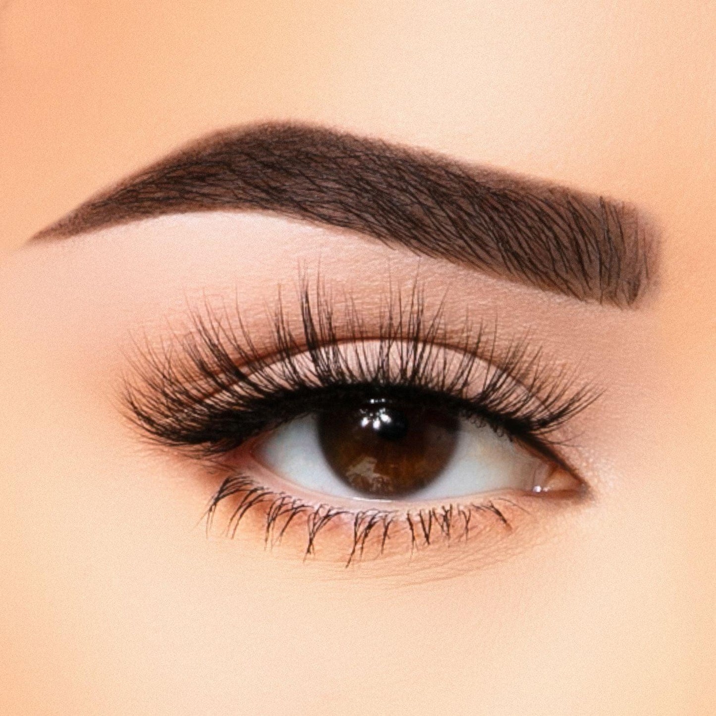 35MM Faux Mink - Lash Collection