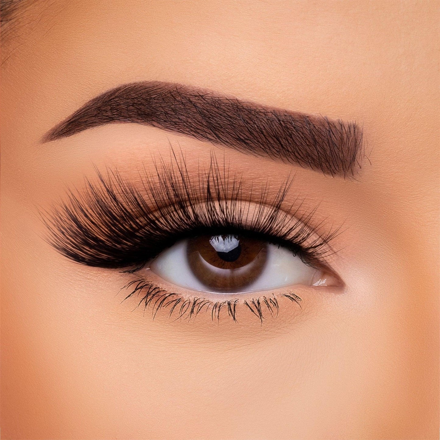 3D Silk Lash
