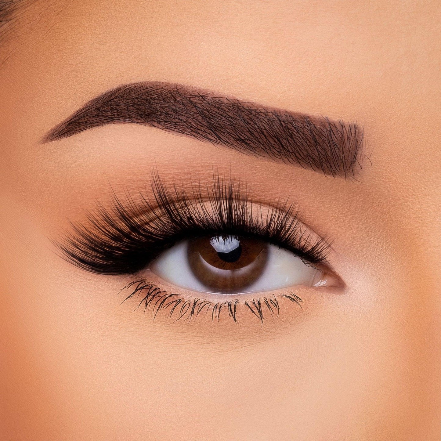 3D Silk Lash