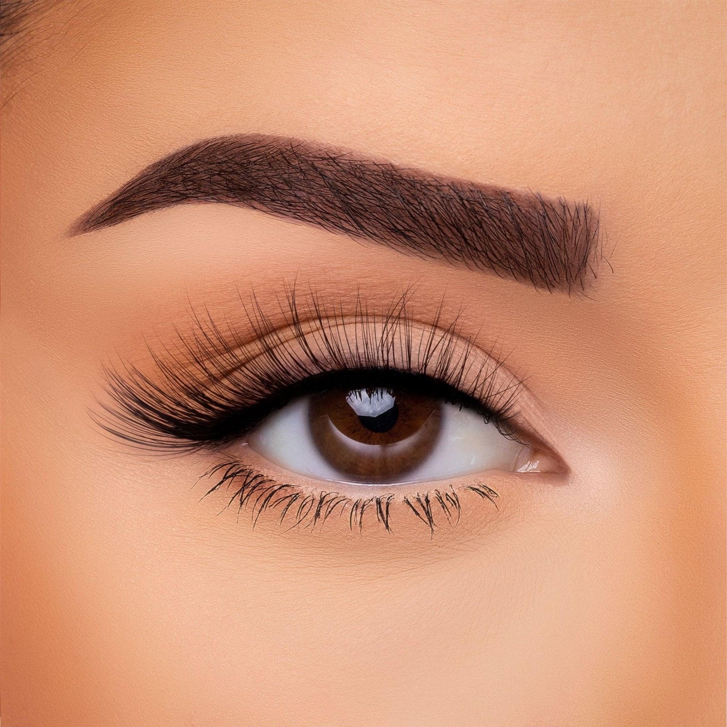 3D Silk Lash