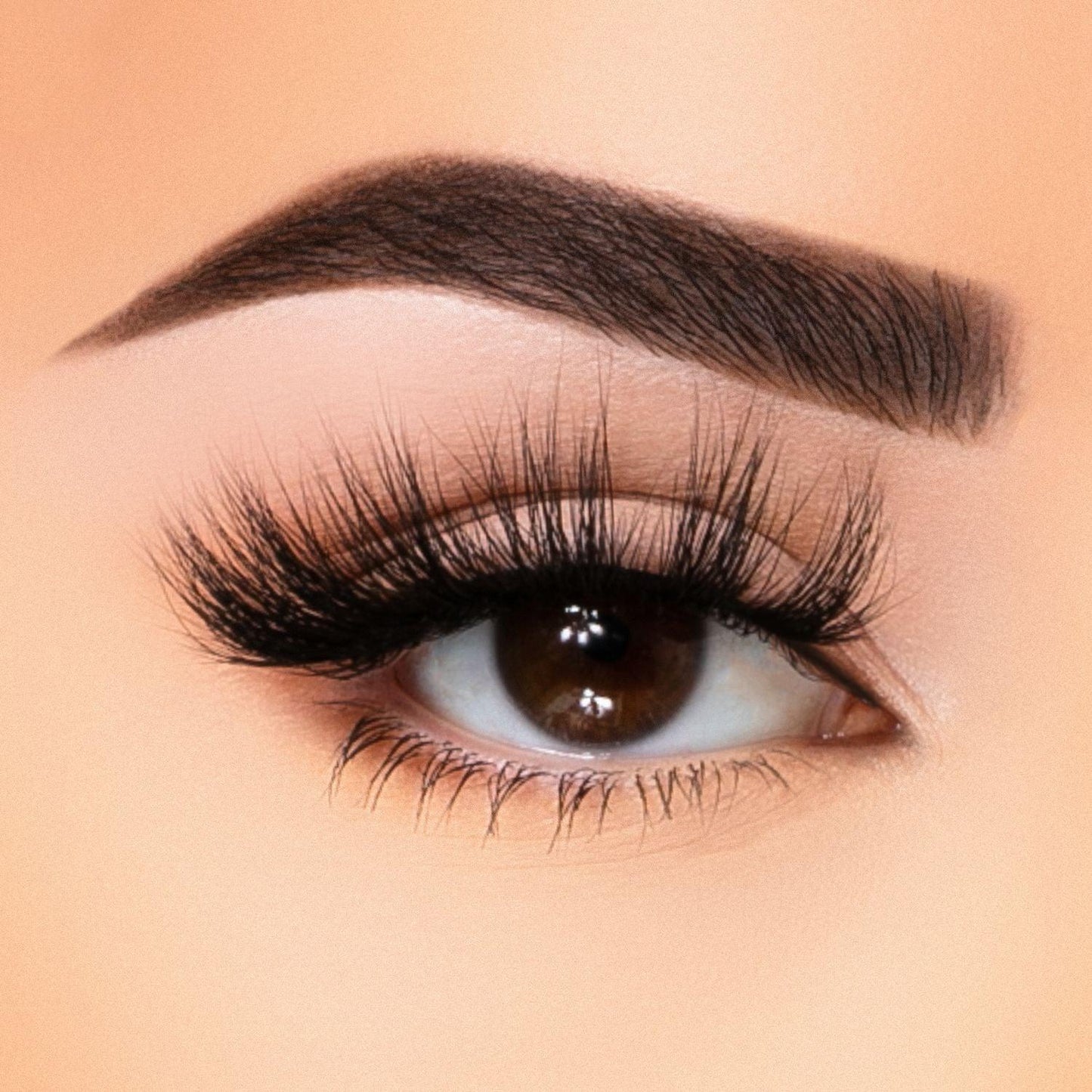 35MM Faux Mink - Lash Collection