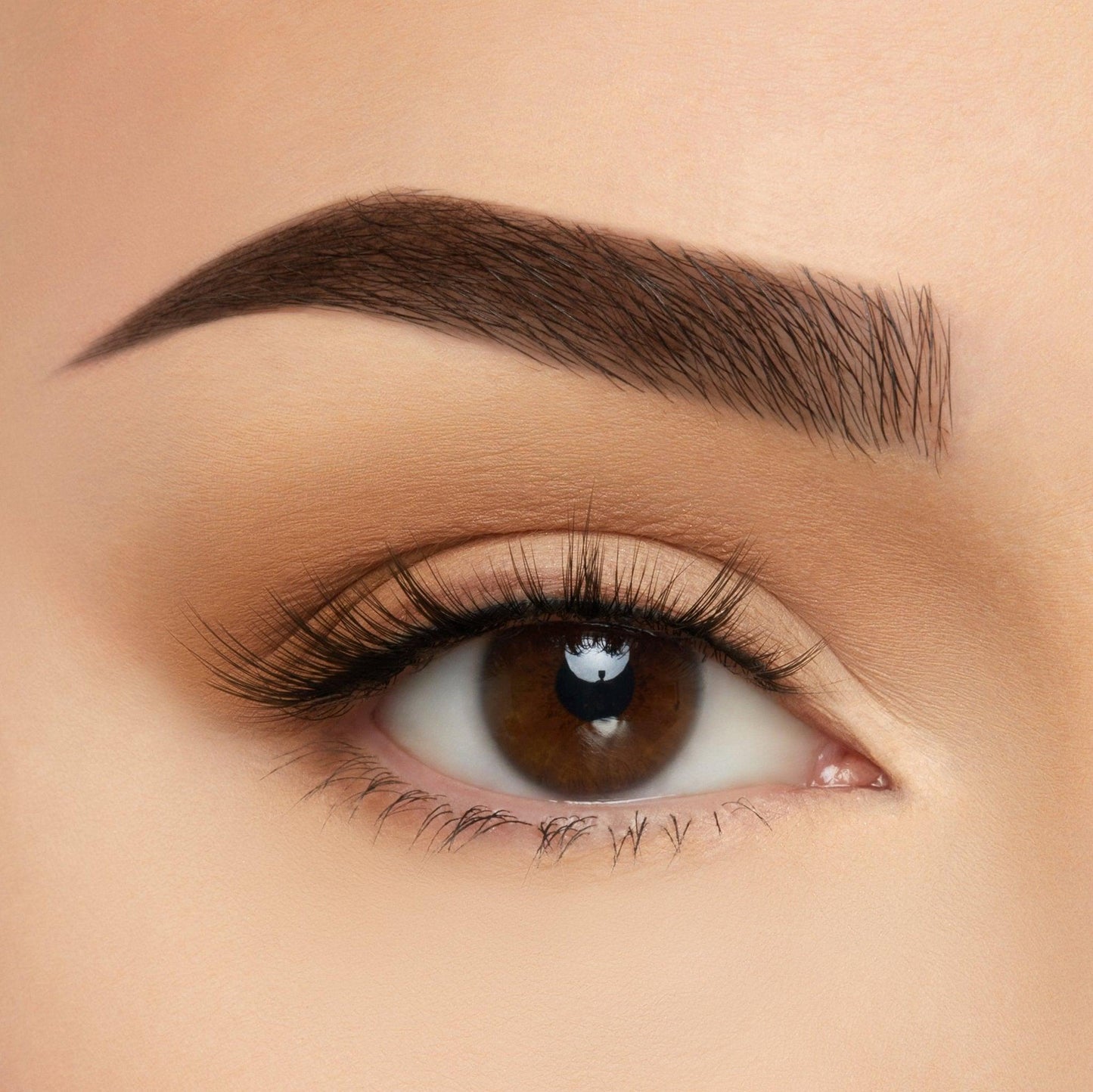 Soft Silk Lashes - 5pc Favorites Bundle