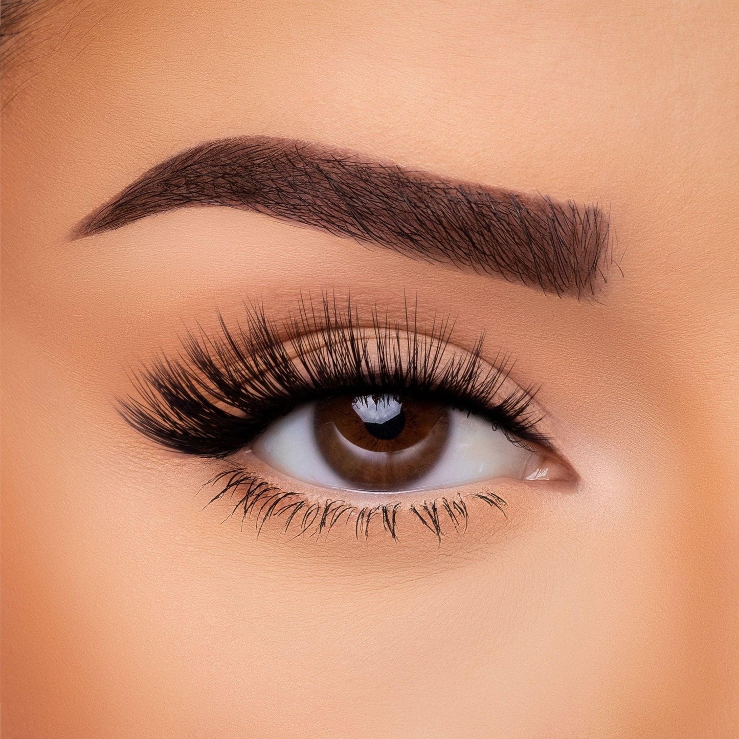 3D Silk Lash